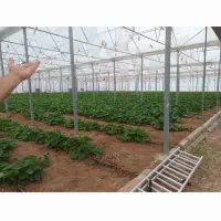 شهرک گلخانه ای|فروش دفتر صنعتی، کشاورزی، تجاری|قزوین, |دیوار