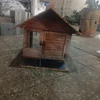 جفتکنی کبوتر لانه سگ و گربه لنه مرغ و خروس