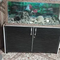 آکواریوم با لوازم|ماهی|خرم‌آباد, |دیوار