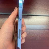 ایفون ۱۳ پرو|موبایل|شیراز, شیمی گیاه|دیوار