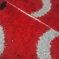 فرش دست دو در حد نو بدون پارگی|فرش|بندرعباس, |دیوار