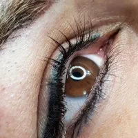 مدل خط چشم|خدمات آرایشگری و زیبایی|رشت, دیلمان|دیوار