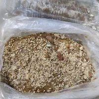 خرمای هلیله