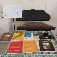 سنتور وحدتی