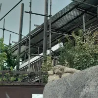 صفر تا صداجرا انواع سقف ورق خرپا،کاذب و...|خدمات پیشه و مهارت|گرگان, |دیوار