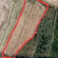 فروش زمین کشاورزی