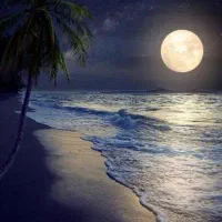 ادمین تولید محتوا