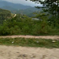 یک-هکتار-زمین-کشاورزی-10000متر