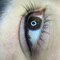 آرایش دائم|خدمات آرایشگری و زیبایی|اراک, |دیوار