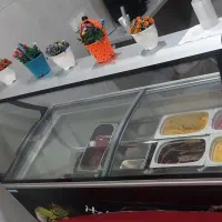 دستگاه بستنی و یخچال کترینگ ۱۲عددی|کافی‌شاپ و رستوران|اندیکا, |دیوار