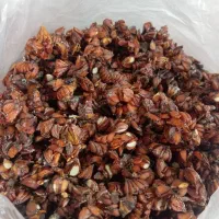 دانه به درجه یک