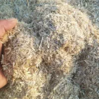 کاه گندم چارشاخی