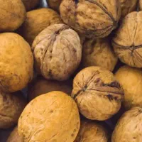 گردو درجه یک