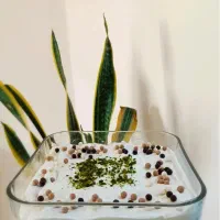 سفارش برای غرب تهران|خوردنی و آشامیدنی|تهران, شهرک دانشگاه شریف|دیوار