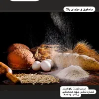 نان فانتزی