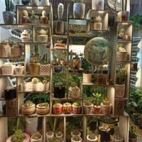 ویترین شیک برای تمام کارهای ویترینی|بوفه، ویترین، کنسول|رشت, شهرک قدس|دیوار