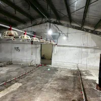 مرغداری گوشتی|استخدام صنعتی، فنی، مهندسی|اردبیل, |دیوار