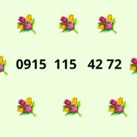 سیم کارت ۱۱۵