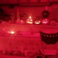 کدو های هالووین|صنایع دستی و سایر لوازم تزئینی|رشت, توشیبا|دیوار