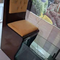 صندلی فیش اسپا