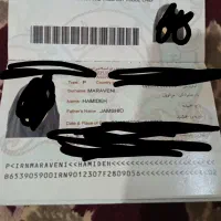 کیفم سیاهه دزدیده شد در نادری خ ادهم نبش گندم