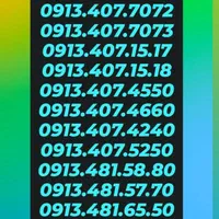 0913.0090.810|سیمکارت|یزد, |دیوار