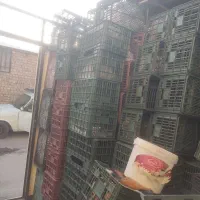 سبد بزرگ موز.مناسب انار|ظروف نگهدارنده، پلاستیکی، یک‌بارمصرف|ساوه, |دیوار