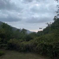 زمین مسکونی تفکیک شده