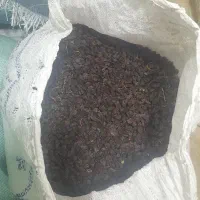 کشمش با کیفیت ممتاز|خوردنی و آشامیدنی|لاهیجان, کوی آزادگان|دیوار