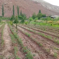 فروش باغ زرین دشت ۶۰۰ متر مربع