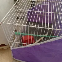 قفس|لوازم جانبی حیوانات|مشهد, شهرک مهر آباد|دیوار