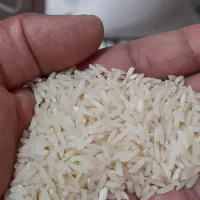 برنج طارم  هاشمی ...ودمسیاه|خوردنی و آشامیدنی|تهران, شهرک زینبیه|دیوار