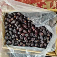 خرما مضافتی بم ۵ کیلویی