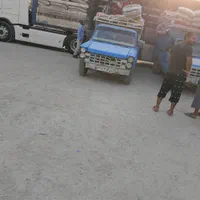 گردو بلغاری ۵۴درصد درجه ۱|عمده‌فروشی|اصفهان, بابوکان|دیوار