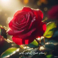 بازاریاب یا تیم فروش حرفه ای