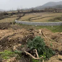 فروش زمین مسکونی در مراددهنده لاهیجان
