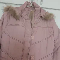 پالتوزنانه