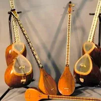 آموزش تخصصی تار و سه تار و کمانچه و سنتور