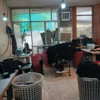 نیازمند چرخکار خانم