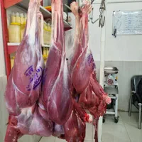 خورده گوشت شترمرغ کشتار روز کیلویی۶۰۰ت