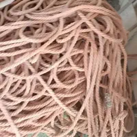 تخته وجل میگو