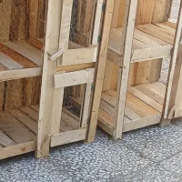 جفتکن کبوتر