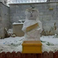 ژل رویال