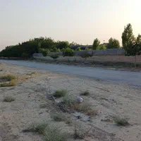 زمین کشاورزی متراژ۷۱۵ متر