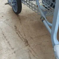 کالسکه دلیجان|کالسکه و لوازم جانبی|فیروزکوه, |دیوار