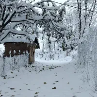 زمین  مسکونی سند دار