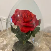 پنج شاخه گل رز|گل مصنوعی|فردیس, شهرک سپاه|دیوار