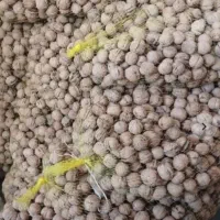 گردو درجه۱|خوردنی و آشامیدنی|رشت, خواهر امام|دیوار