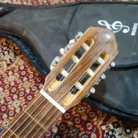 گیتار|گیتار، بیس، امپلیفایر|شوشتر, |دیوار