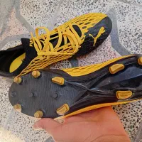 کفش اصلی پوما فوتبالی|تجهیزات ورزشی|بندرعباس, |دیوار